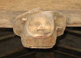alternative view